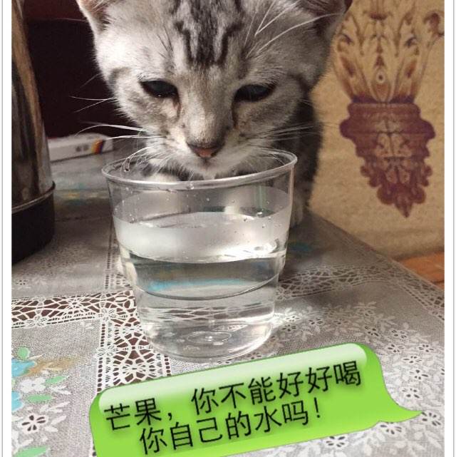 计算机二级证哪里能做